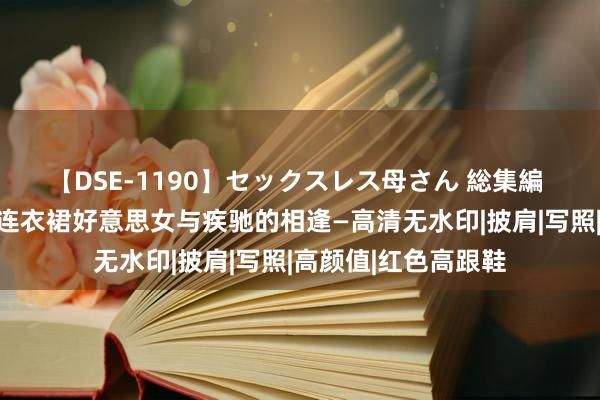 【DSE-1190】セックスレス母さん 総集編 夜色中的黑丝紧身连衣裙好意思女与疾驰的相逢—高清无水印|披肩|写照|高颜值|红色高跟鞋