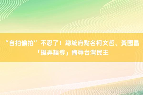 “自拍偷拍” 不忍了！總統府點名柯文哲、黃國昌「操弄誤導」　侮辱台灣民主