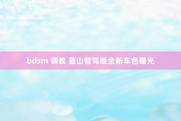 bdsm 调教 蓝山智驾版全新车色曝光