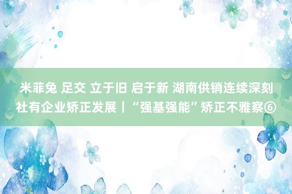 米菲兔 足交 立于旧 启于新 湖南供销连续深刻社有企业矫正发展丨“强基强能”矫正不雅察⑥