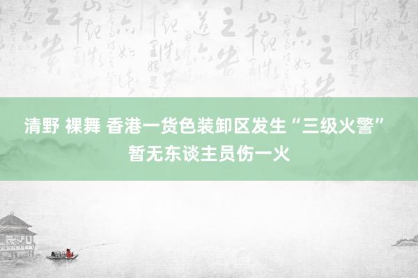 清野 裸舞 香港一货色装卸区发生“三级火警” 暂无东谈主员伤一火