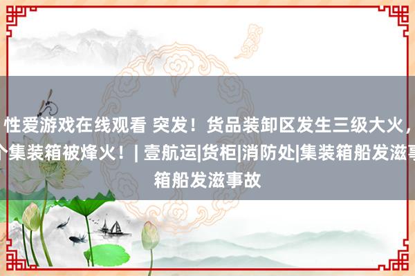 性爱游戏在线观看 突发！货品装卸区发生三级大火，多个集装箱被烽火！| 壹航运|货柜|消防处|集装箱船发滋事故