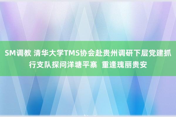 SM调教 清华大学TMS协会赴贵州调研下层党建抓行支队探问洋塘平寨  重逢瑰丽贵安